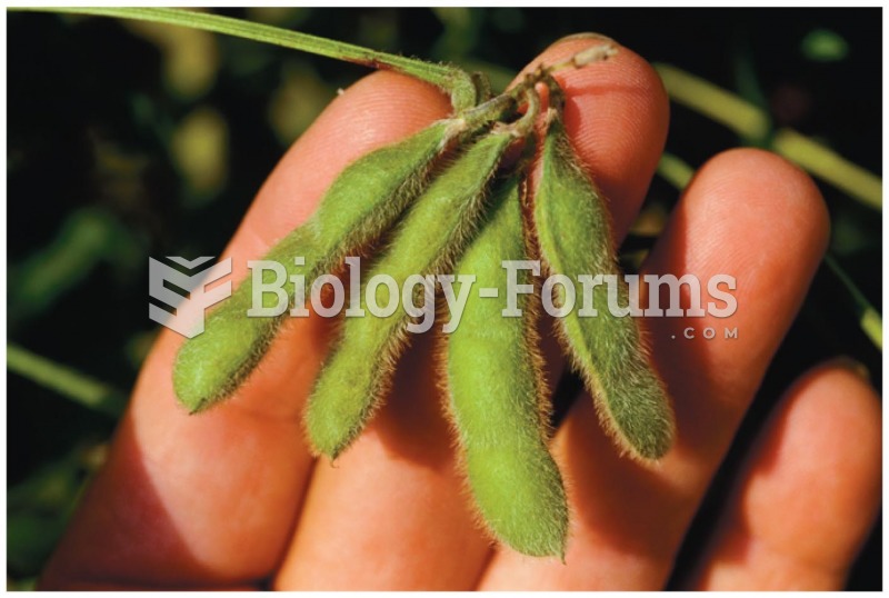 This is a soybean