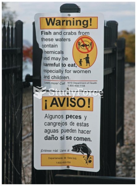 Warning signs like this one are often posted when local waters