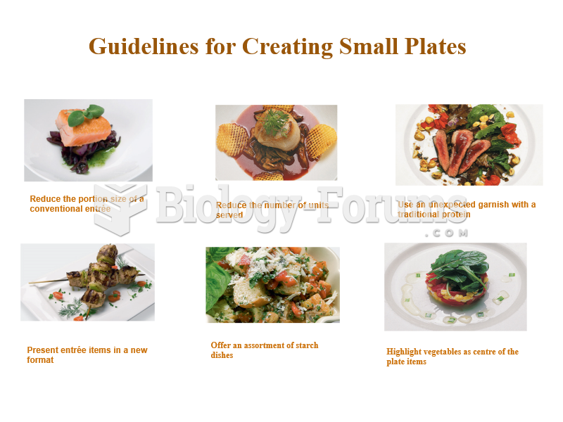 Guidelines for Creating Small Plates