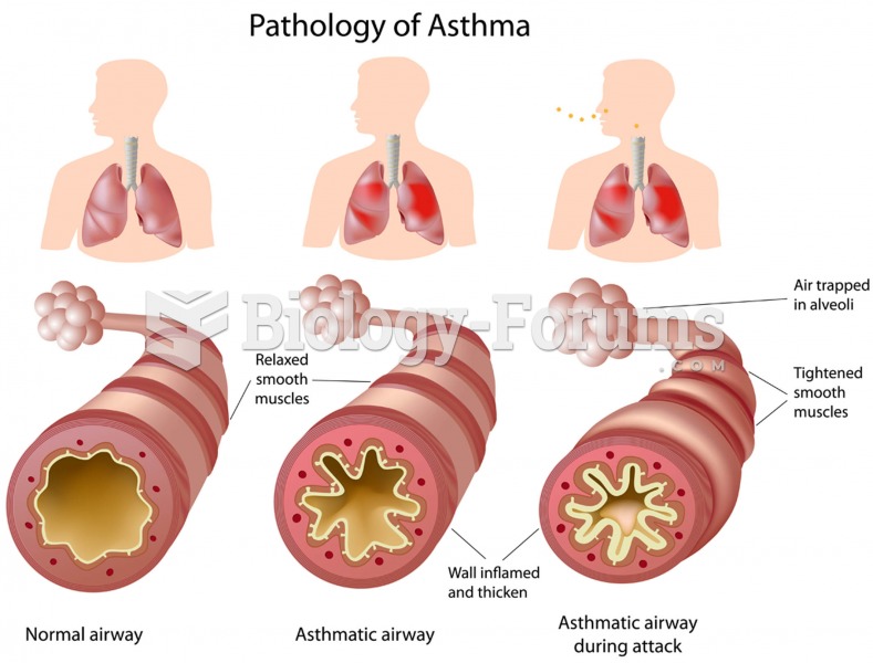 What causes asthma?