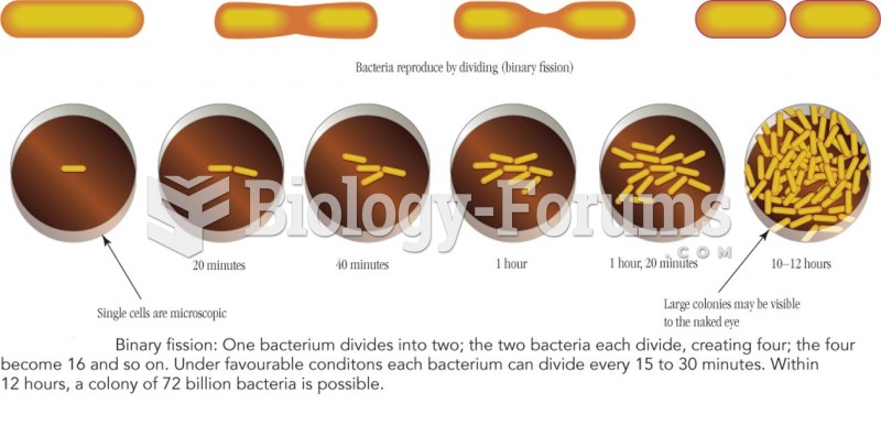 Bacterial duplication