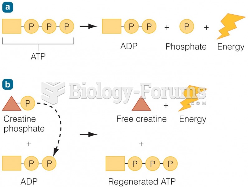 Energy Metabolism During anaerobic metabolism