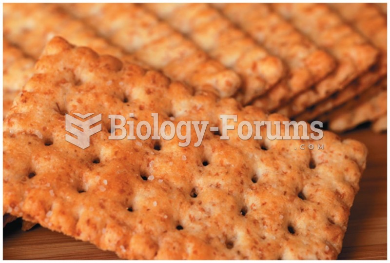 Crackers can be consumed before and during endurance exercise