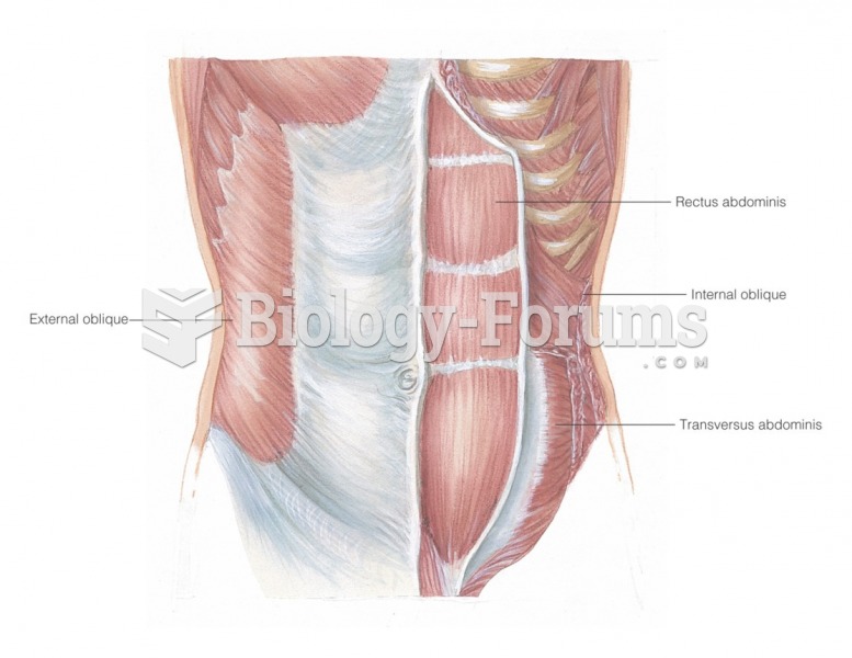 Muscles of the abdominal wall