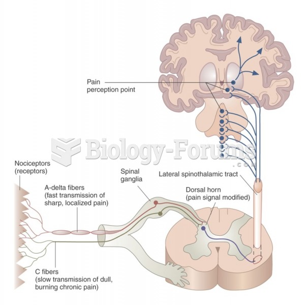 Physiology of pain perception