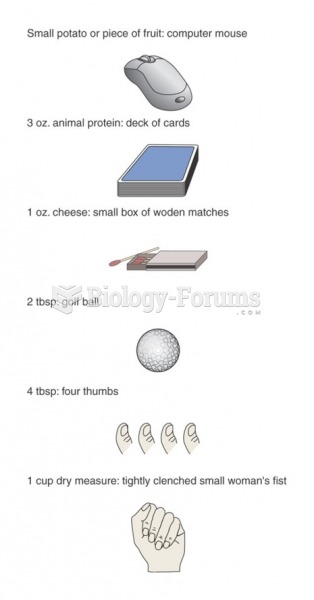 Analogies for estimating portion size