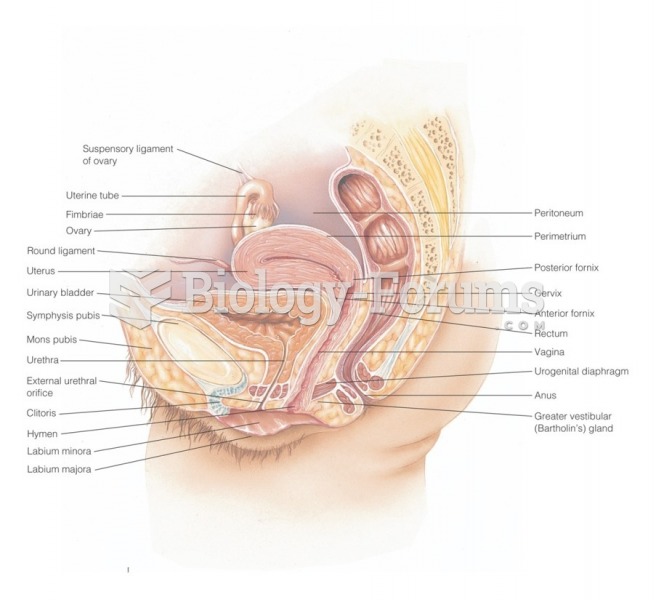 Internal organs of the female reproductive system within the pelvis