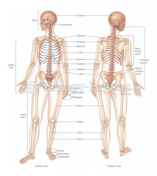 Bones of the human skeleton