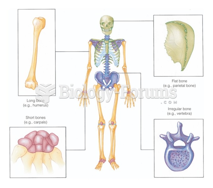 Classification of bones according to shape