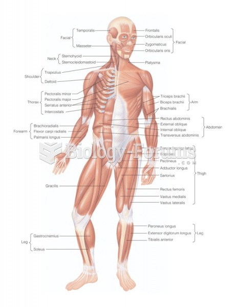 Anterior view of muscles of the human body