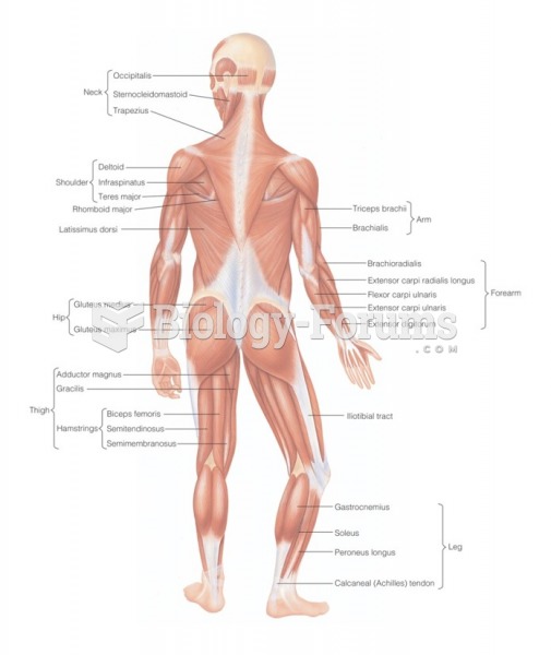 Posterior view of muscles of the human body