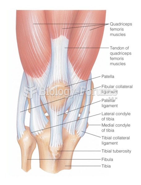 Knee joint: Anterior view