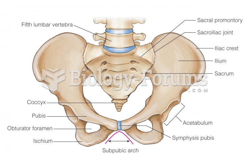Internal structures of the female pelvis for landmarks