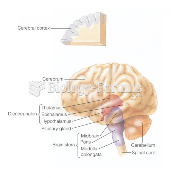 Regions of the brain