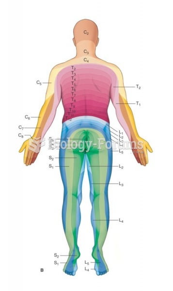 Dermatomes of body, posterior view