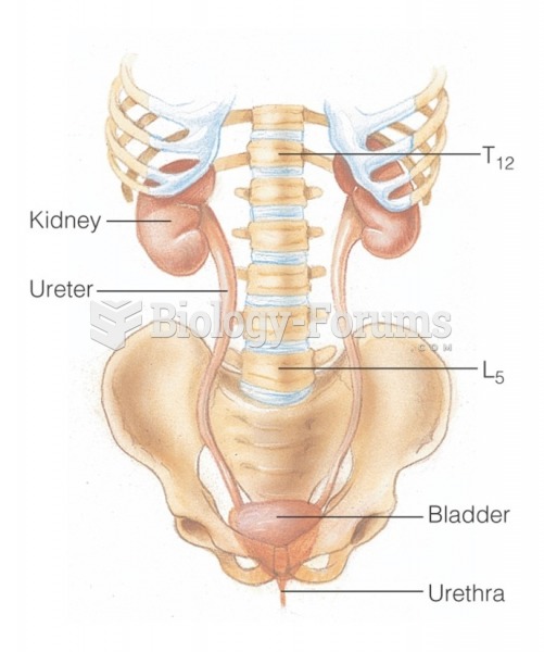 The urinary system: Relationship of the kidneys to the vertebrae