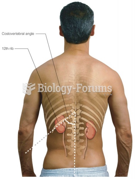 Landmarks for urinary assessment: The costovertebral angle