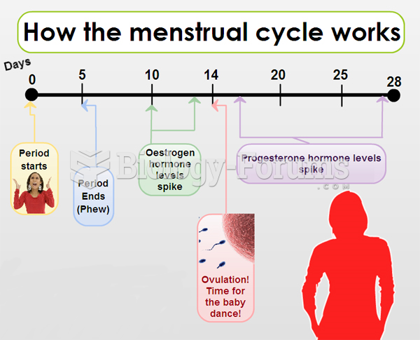 How Long Do You Ovulate After Your Period?