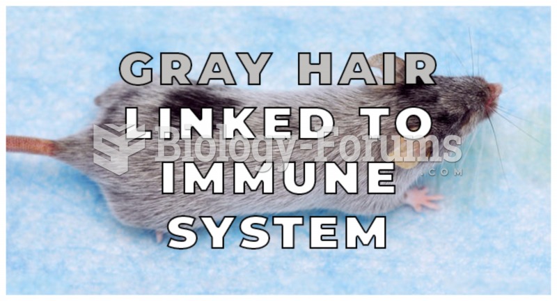 Gray Hair Mouse