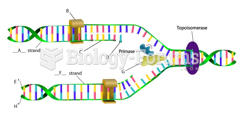 DNA replication matching question