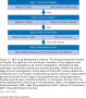 Drug Approval Stages