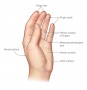 Sensitive areas of the hand