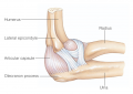 Elbow joint