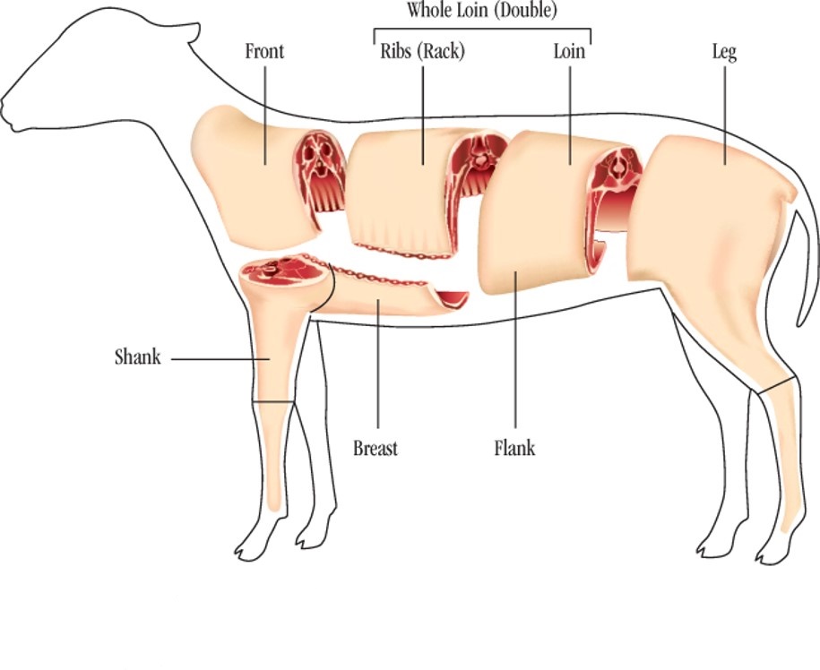 Primal Cuts of Lamb