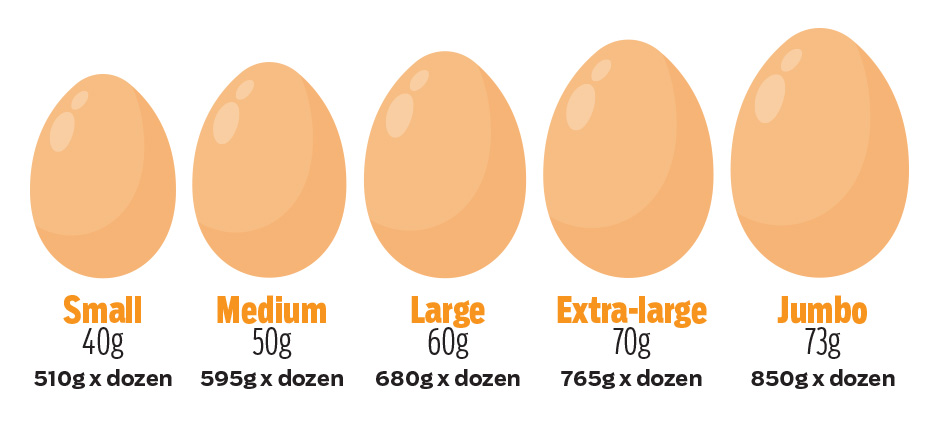 Egg Sizes