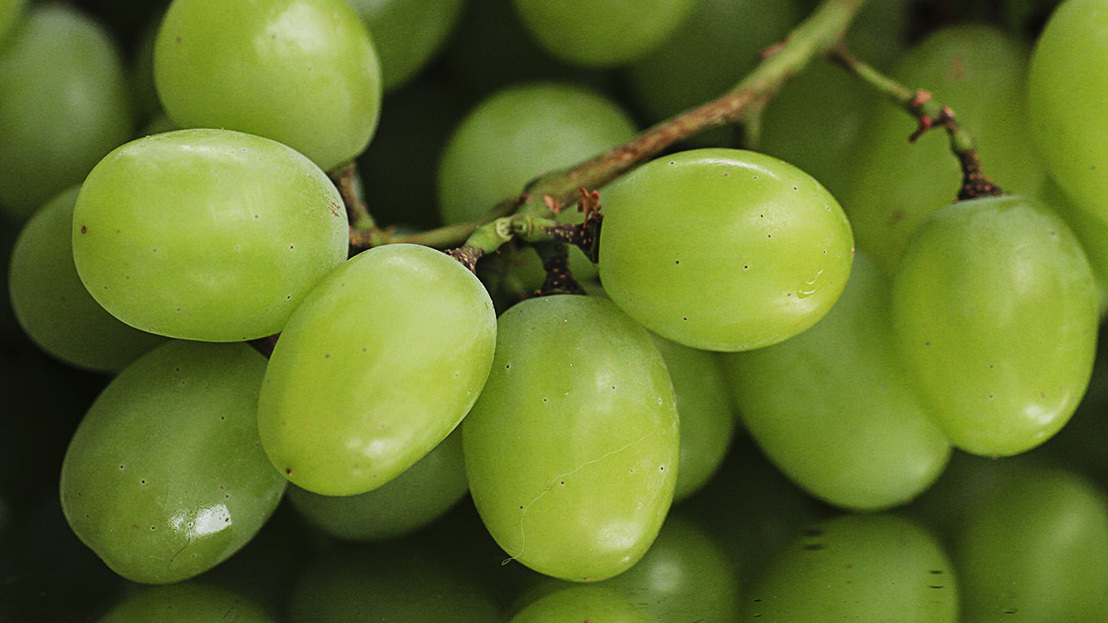 Thompson Seedless Grapes