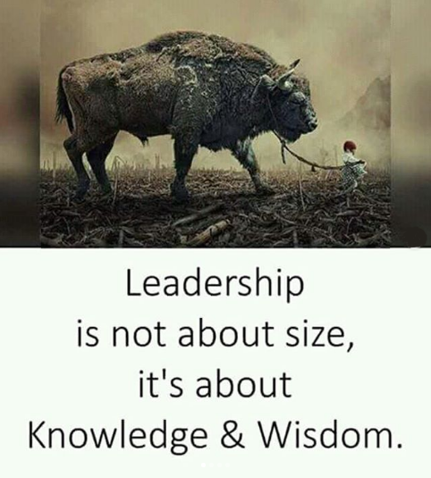 Leadership is not about size, it's about knowledge and wisdom