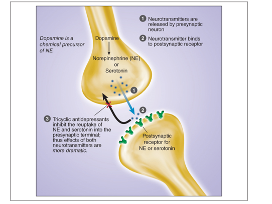 Tricyclic Antidepressants