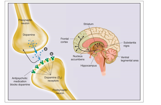 Schizophrenia