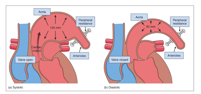 Systolic pressure