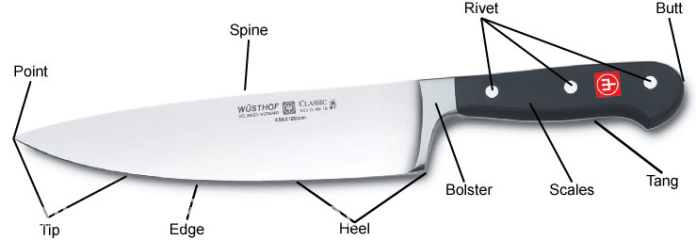 Parts  or anatomy of  a Knife