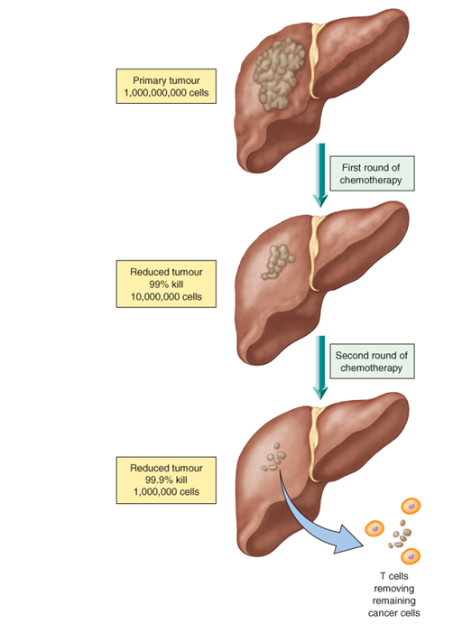 Cell kill and chemotherapy