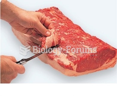 Cutting Strip Loin Steaks (2 of 5)