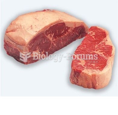 Cutting Strip Loin Steaks (5 of 5)