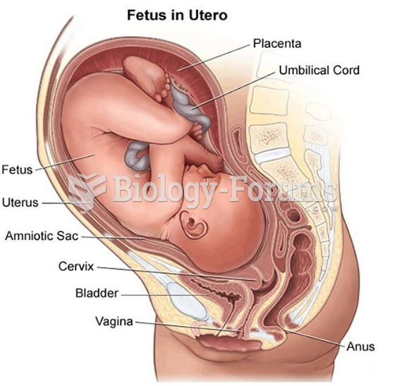 Fetus in utero