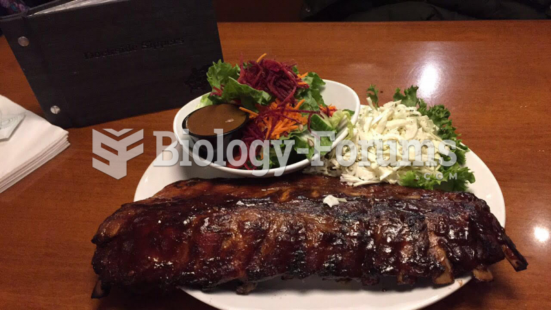 BBQ ribs with salad