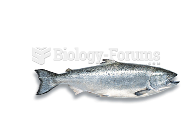 Chinook or King Salmon