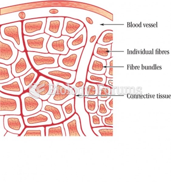 Crosscut of Muscle Fibers