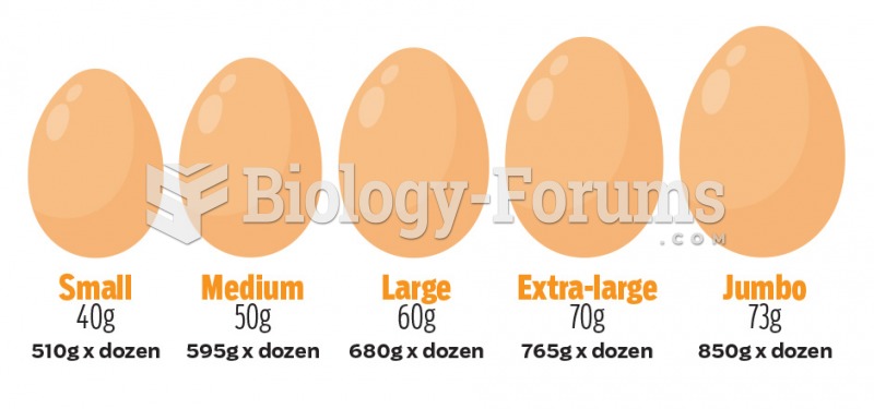 Egg Sizes