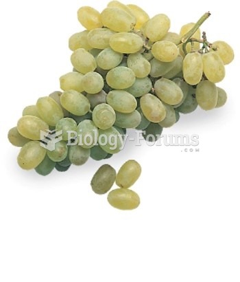 Thompson Seedless Grapes