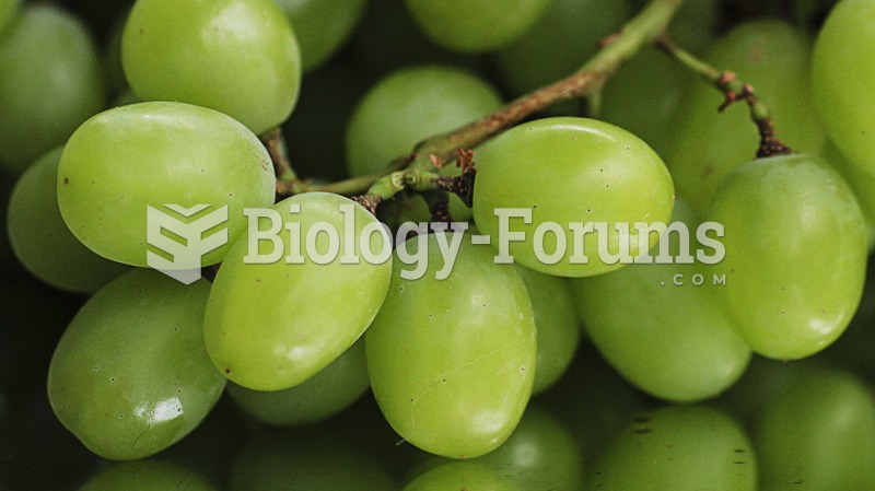 Thompson Seedless Grapes