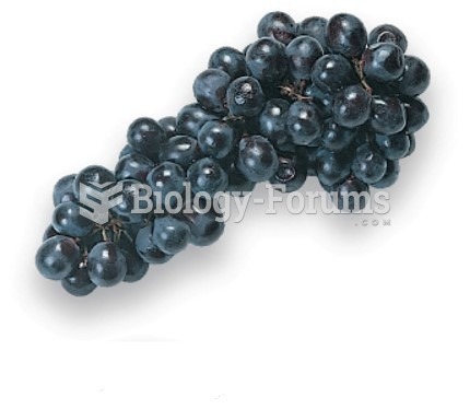 Concord Grapes