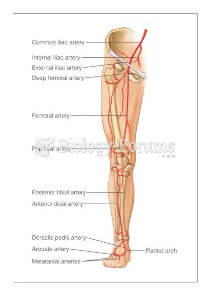 Main arteries of the leg