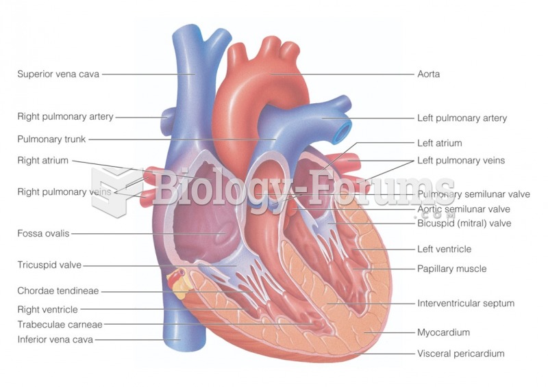 Structural components of the heart