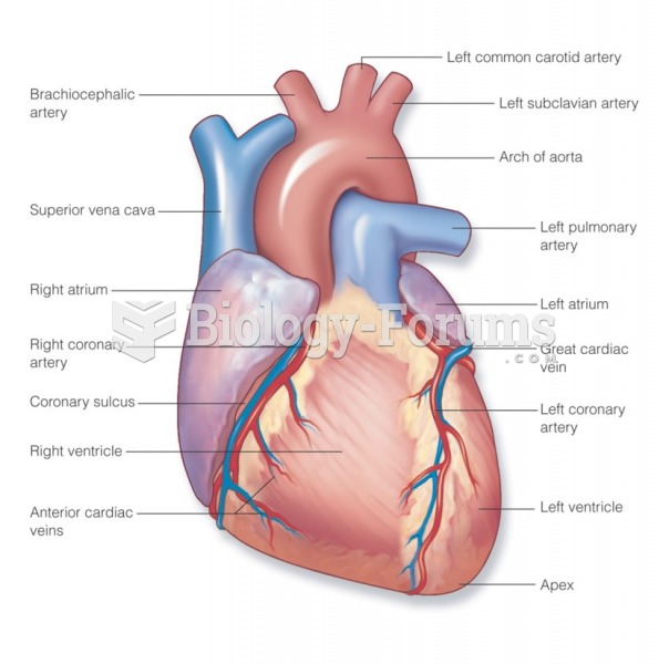 Vessels of the heart: Anterior