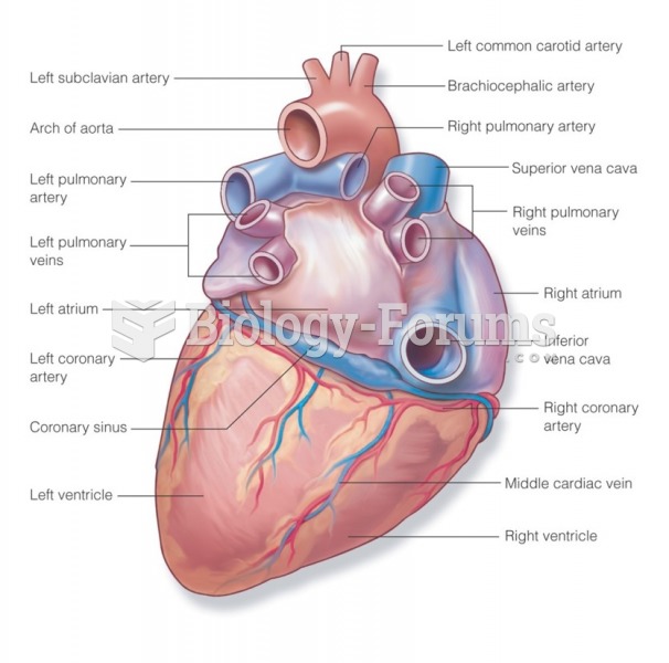 Vessels of the heart: Posterior